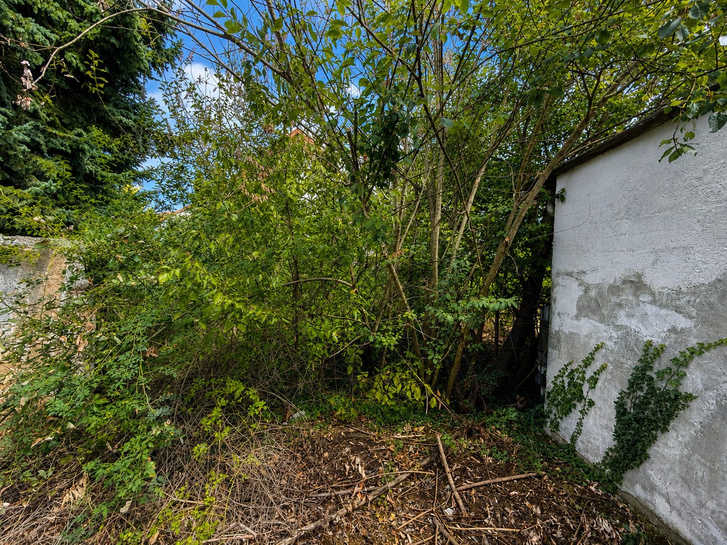 Außenbereich mit Grundstück